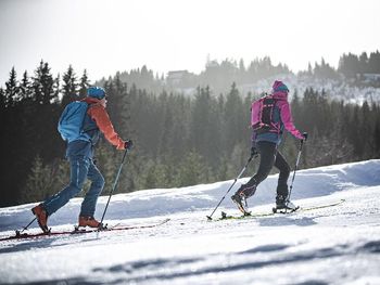 8 Tage am Ufer des Zeller Sees mit Frühstück