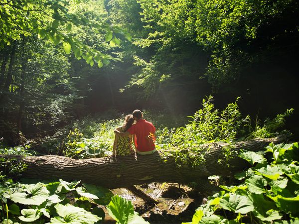 GrimmHeimatNordhessen – Zeit zu zweit in Waldkappel Halbpension