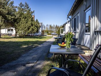 Urlaub mit 4 Pfoten: 4 Tage buddeln an der Boddenküste