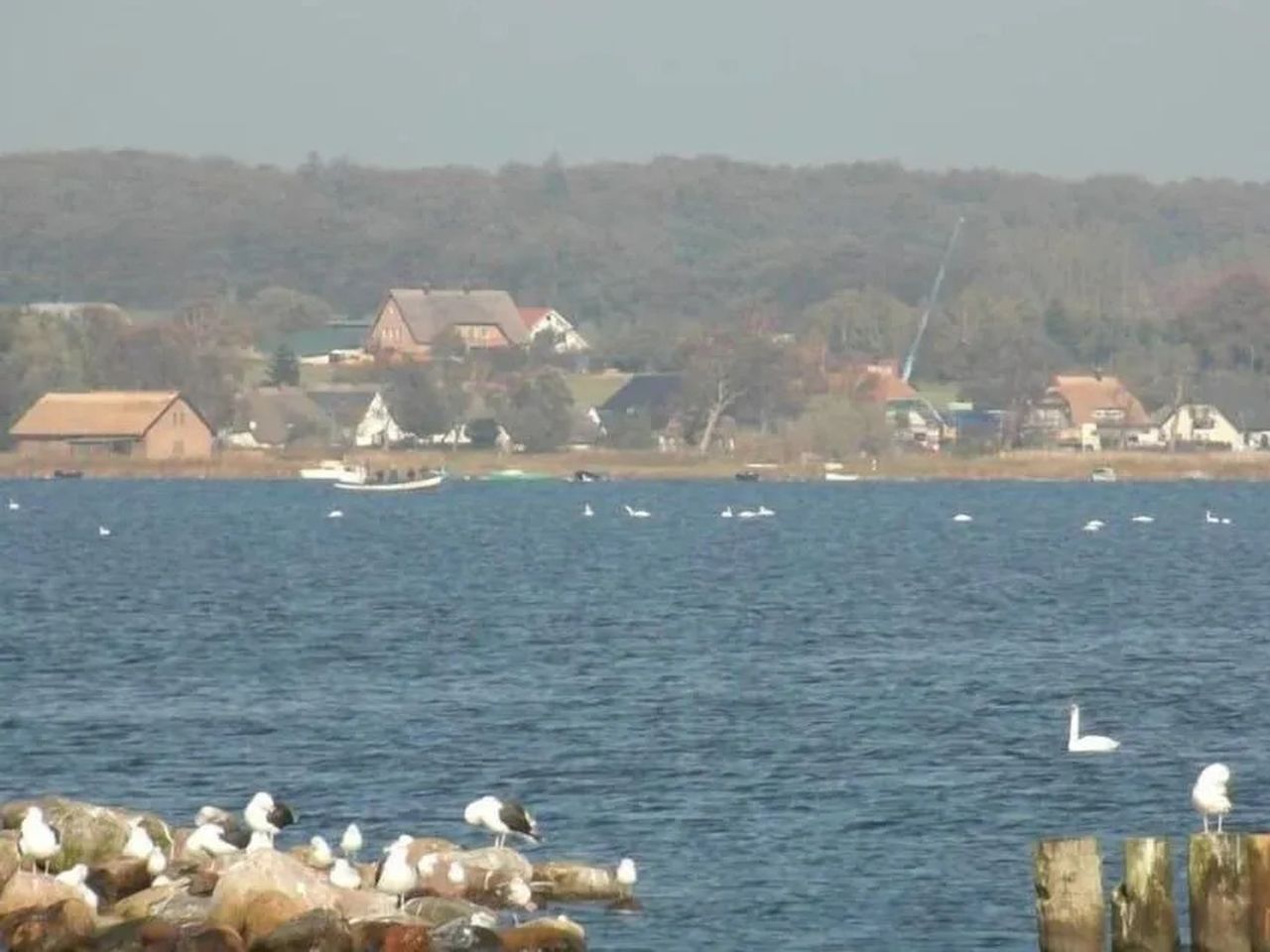 4 Tage im Pension Deichgraf mit Frühstück