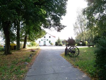 Das Glück dieser Erde liegt auf dem Rücken der Pferde