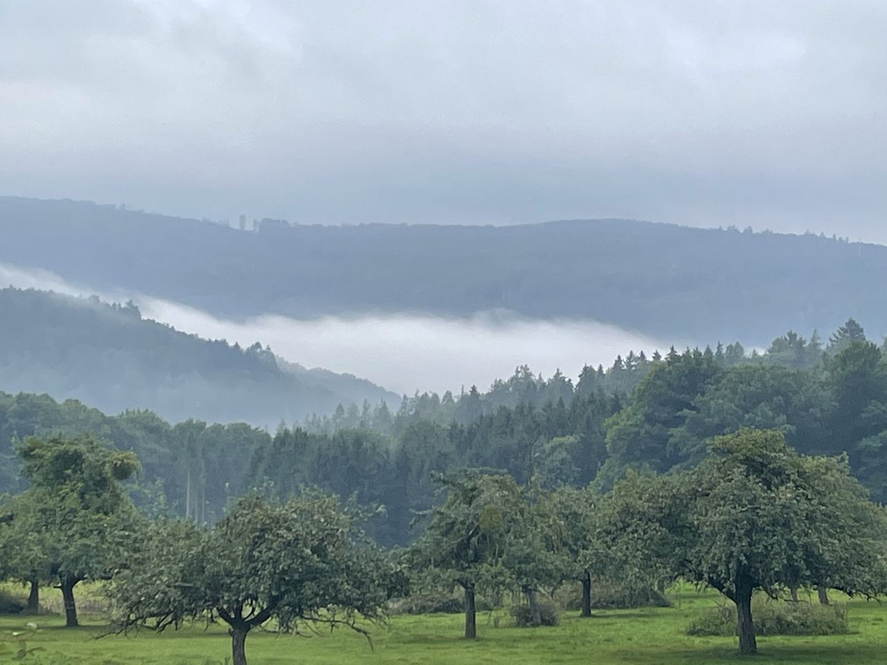 Heimatgefühl im Spessart - 2 Nächte Heimathenhof