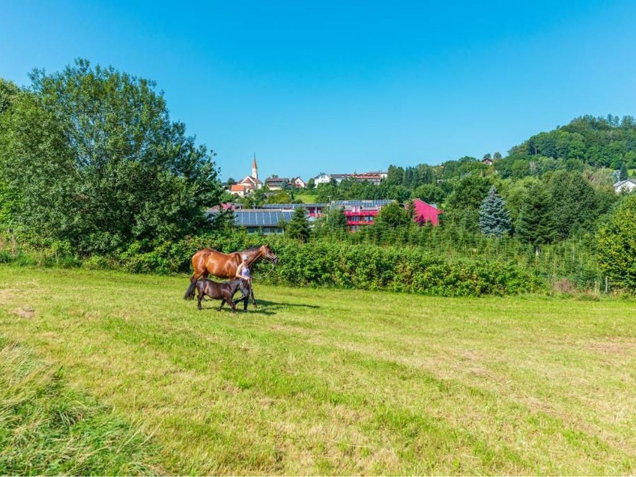 Familienauszeit im Bayerischen Wald - 6 Nächte