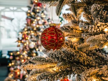 Weihnachten und Festtage zwischen Wald und Meer - 4 Tage inkl. Frühstück, Abendessen u. Festtagsmenü