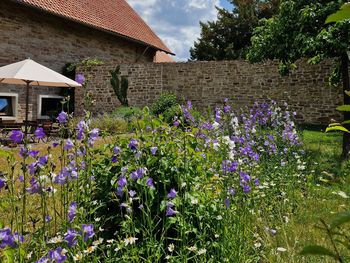 Auf den Spuren des Klosterwanderweges - 4 Tage