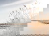 Erholung in Rust am Neusiedler See - 7 Tage