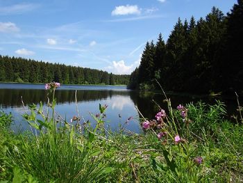 Wandern & Erholung im Harz: Mythen & Legenden, 5 Tage