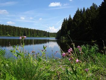 Kurzurlaub im Naturpark Harz bei Goslar - 4 Tage