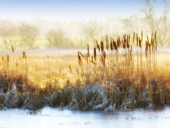 4 Tage Winter-Kurztrip ins Seehotel Brandenburg