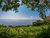 3 Tage Auszeit am Bodensee im Hotel Mein Inselglück