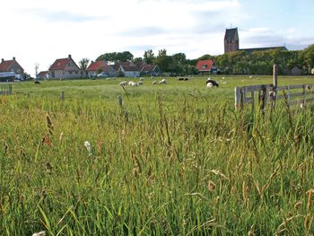 6 Tage Strandparadies Ameland Natur und endlose Weite