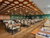 All Inclusive-4 Tage im Ferien Hotel / Thüringer Wald