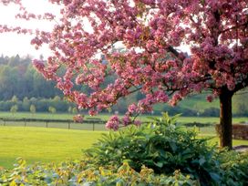 4 Tage Wanderglück & Ruhe im Süden von Limburg