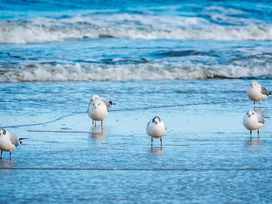 Wintersparwoche 7 für 6 mit Halbpension an der Ostsee