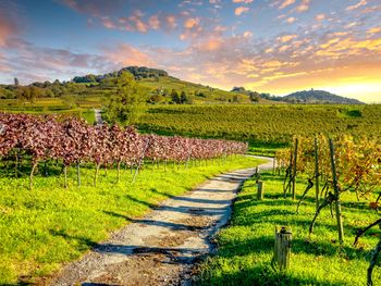 89 Euro-Sommer-Deal - 3 Tage Odenwald & Bergstraße