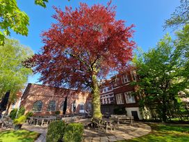 3 Tage mit 1 Tag E-Bikes - Freiheit auf zwei Rädern