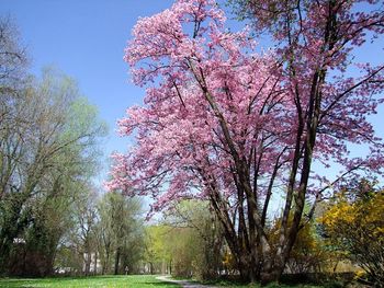 6 Schnuppertage Kultur und Natur im Burgenlandkreis