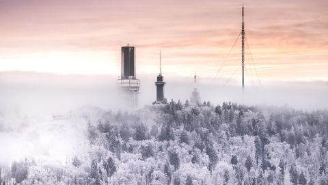 Großer Feldberg im Winter