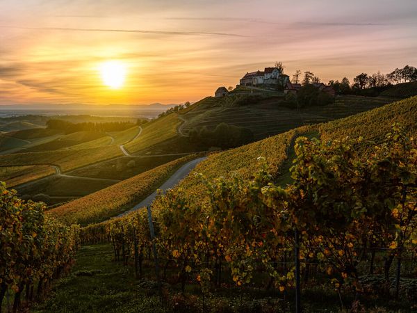 4 Tage Auszeit im Markgräflerland und dem Schwarzwald in Badenweiler, Baden-Württemberg inkl. Halbpension