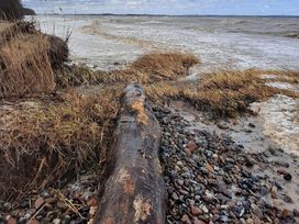 2 Tage im Schlossgut Gross Schwansee erholen