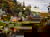 Wellness im Harz inkl. Gourmet-Menü - 3 Tage