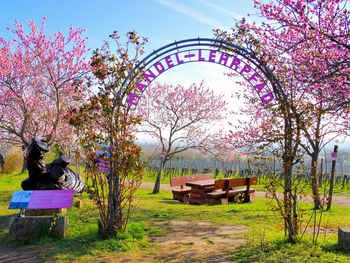 Berge, Wein & Wald - 3 Tage Pfalz & die Weinstraße