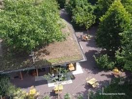Straussenland Nedlitz bei Magdeburg mit Safariführung und Hotel