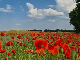 3 Tage Thermenauszeit im Herzen Thüringens inkl. Sekt