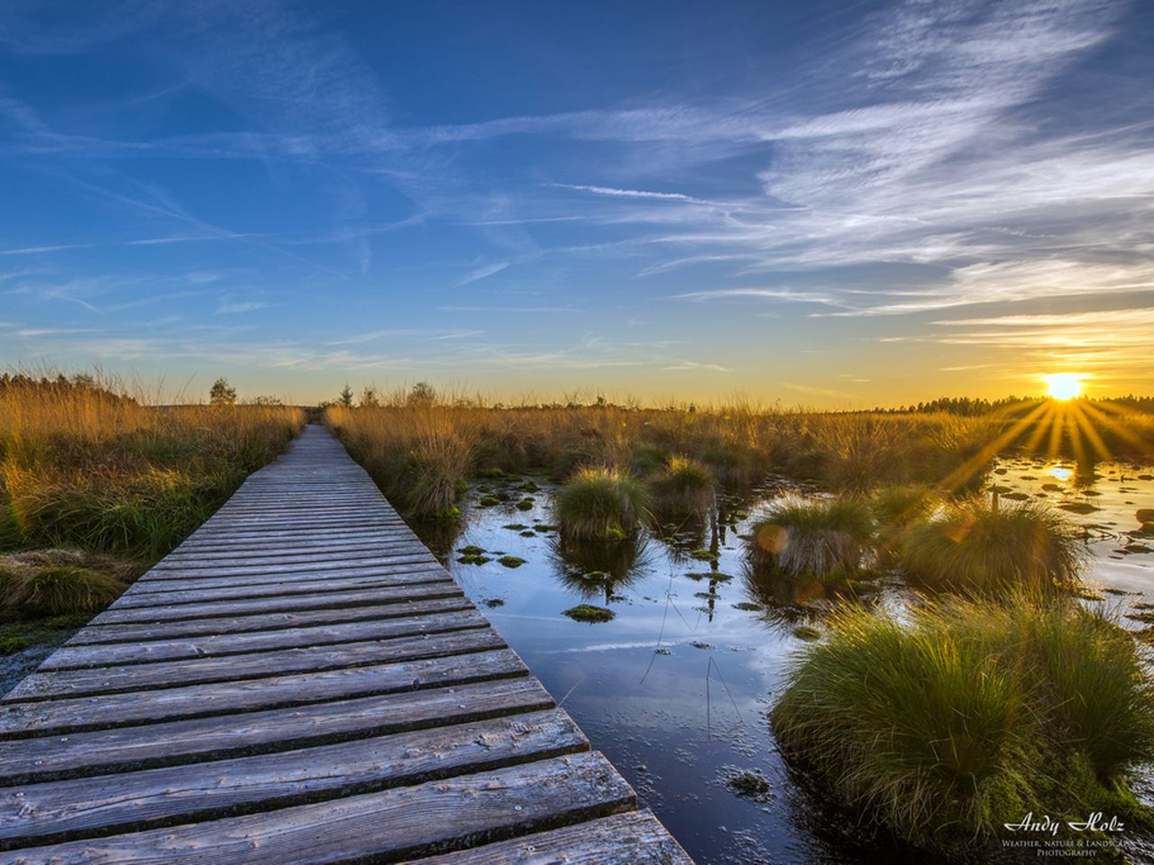 Ihr Wunsch nach Luft, Wald Wasser - 5 Wandertage!