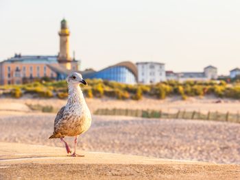 Ostsee-Urlaub in Warnemünde mit Halbpension I 5 Tage
