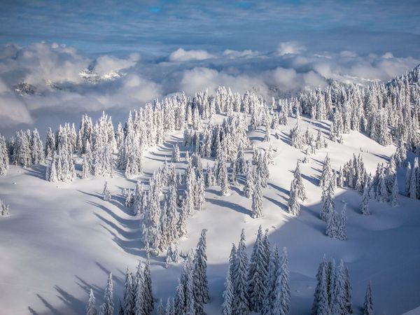 4 Tage Auszeit Winterzeit Wintermärchen – 3 Nächte im DZ in Au (Vorarlberg) inkl. Frühstück