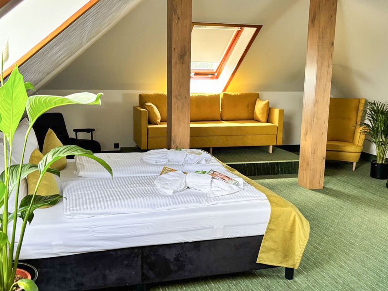 Junior Suite