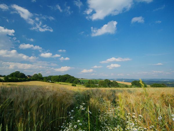 3 Tage Aktiv & Natur im Bergischen Land in Heiligenhaus, Nordrhein-Westfalen inkl. Halbpension