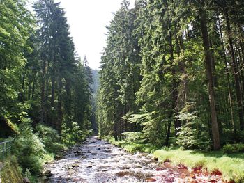 7 Tage ALL INKLUSIVE  im Erzgebirge