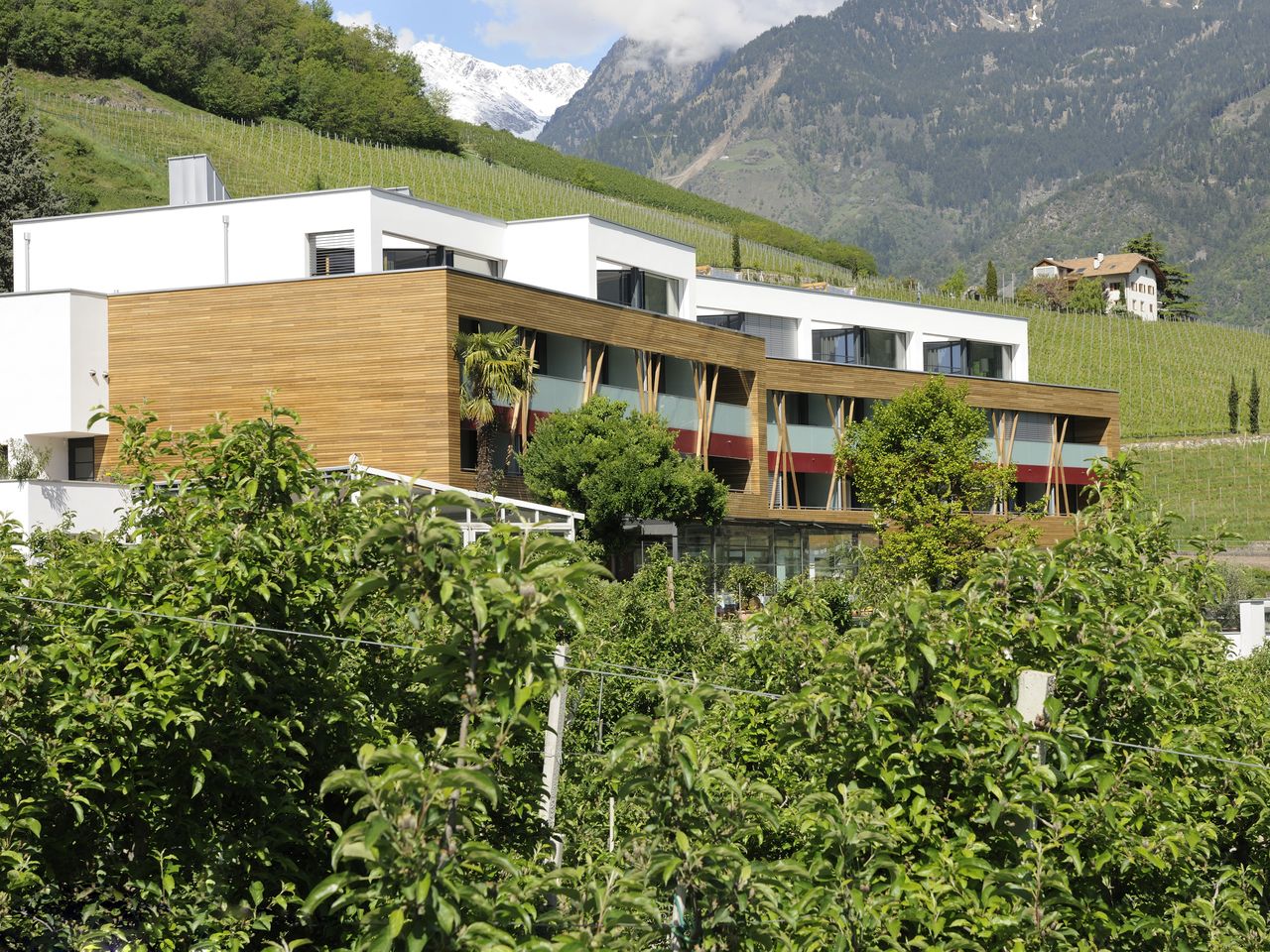 4 Tage Bio-aktive Erholung Wandern in und um Meran