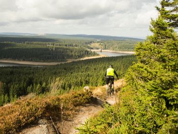 Harzer Wochenende in idyllischer Natur mit HP