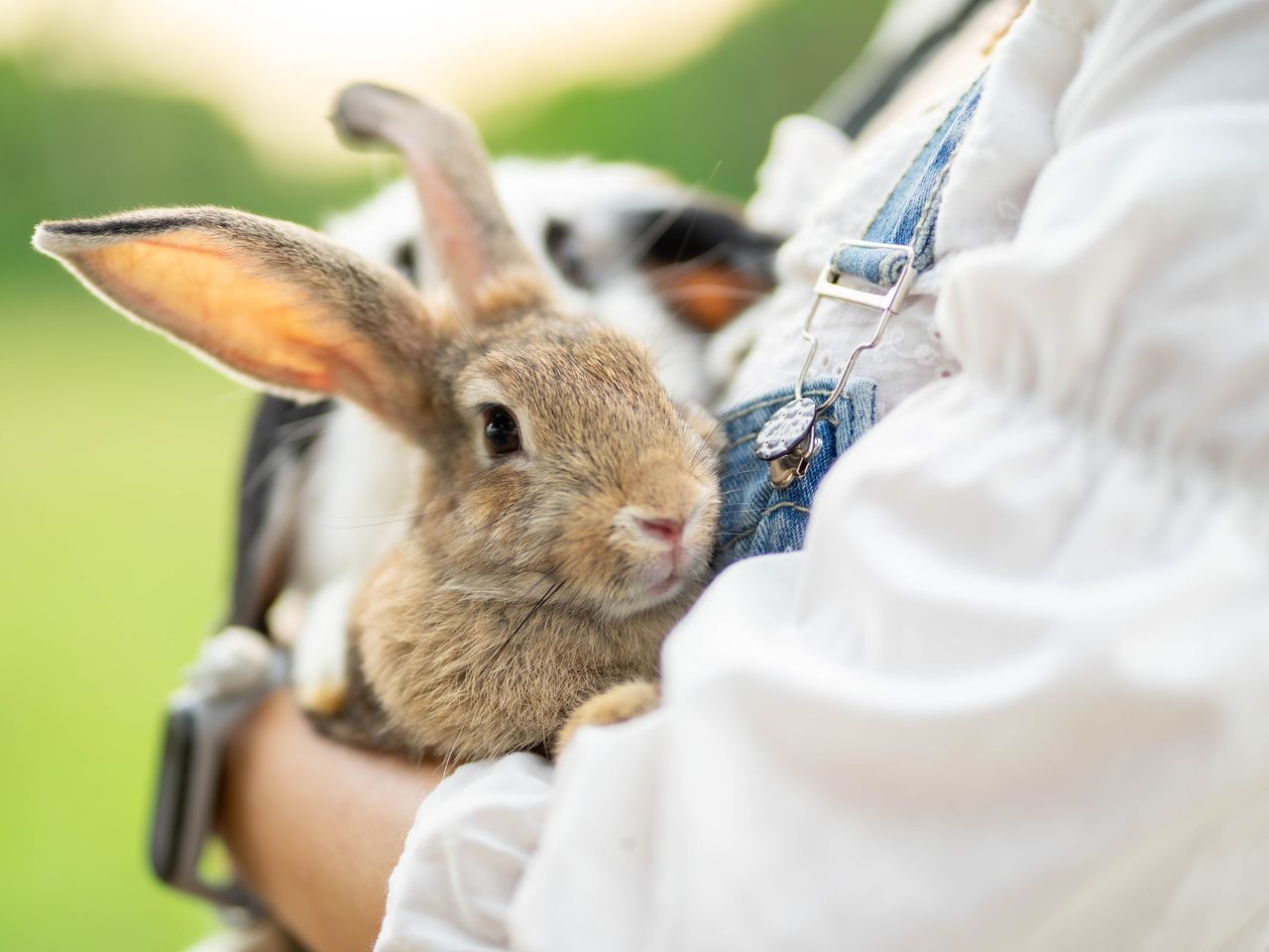 Ostern in Hamburg - 3 Tage