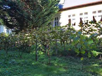 Wein. Erlebnis. Kulinarium - Wildmenü