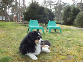 Urlaub mit 4 Pfoten: 4 Tage buddeln an der Boddenküste