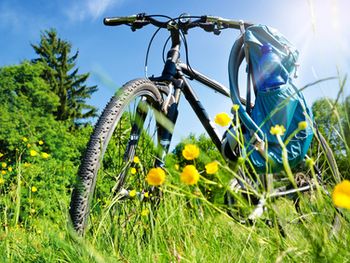 Mit dem Fahrrad durch das Oldenburger Land