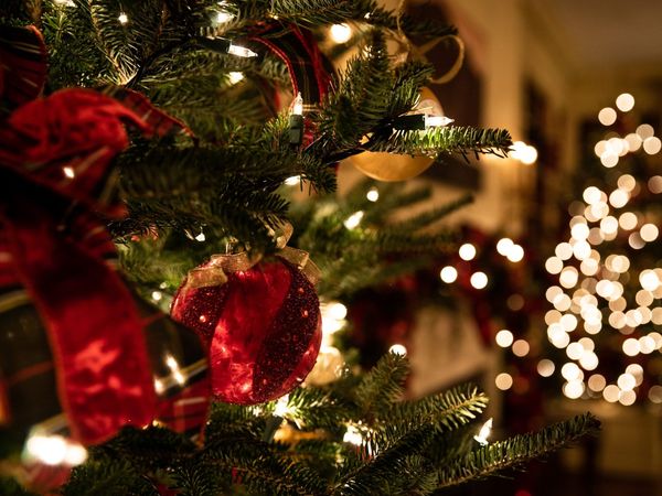 3 Tage Weihnachten im Hotel Ahornhof in Lindberg, Bayern inkl. Halbpension