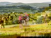 Willingen im Sauerland entdecken - 1 Nächte