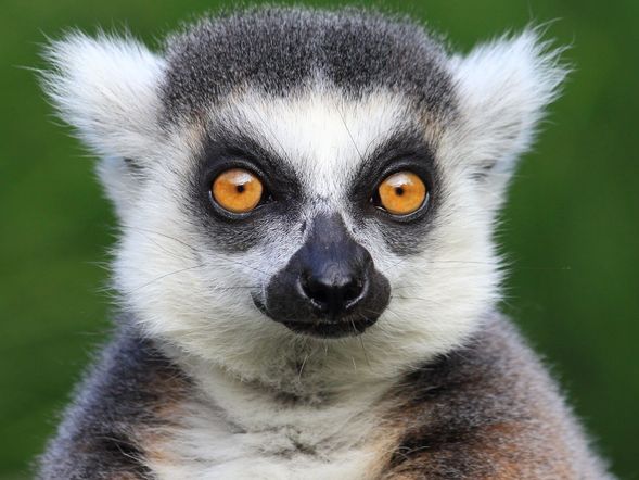 Südpfalz entdecken – Zoo Landau & Naturerlebnis | 3 Tage