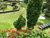 2 Tage Kurzurlaub mit Frühstück im Garden-Hotel Reinhart