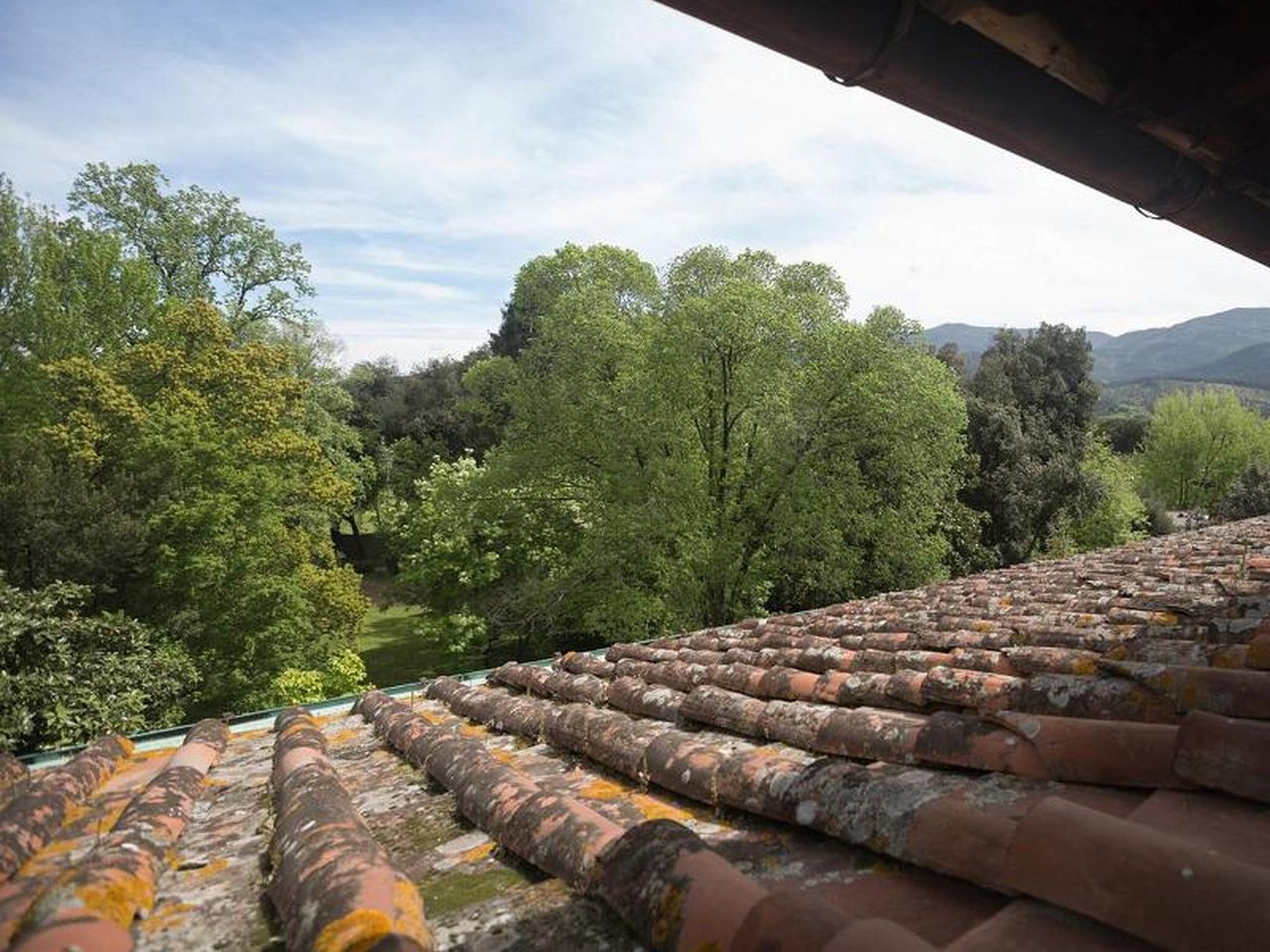 Italienische Eleganz - 4 Tage in Lucca mit Frühstück
