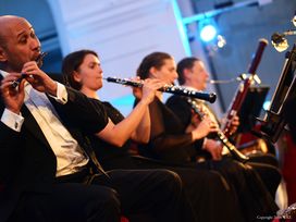 Schloss Schönbrunn Konzert + Schlossbesichtigung in Wien