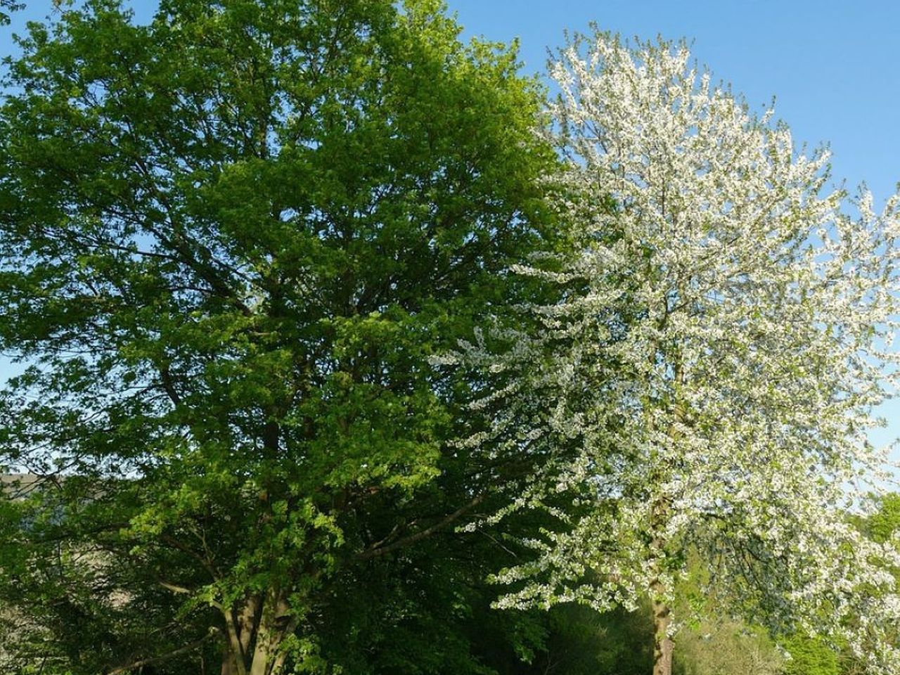 3 Tage Aktivurlaub zwischen Schwarzwald und Stuttgart