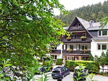 Familienurlaub im Sonnenhof-Willingen (3 Nächte)