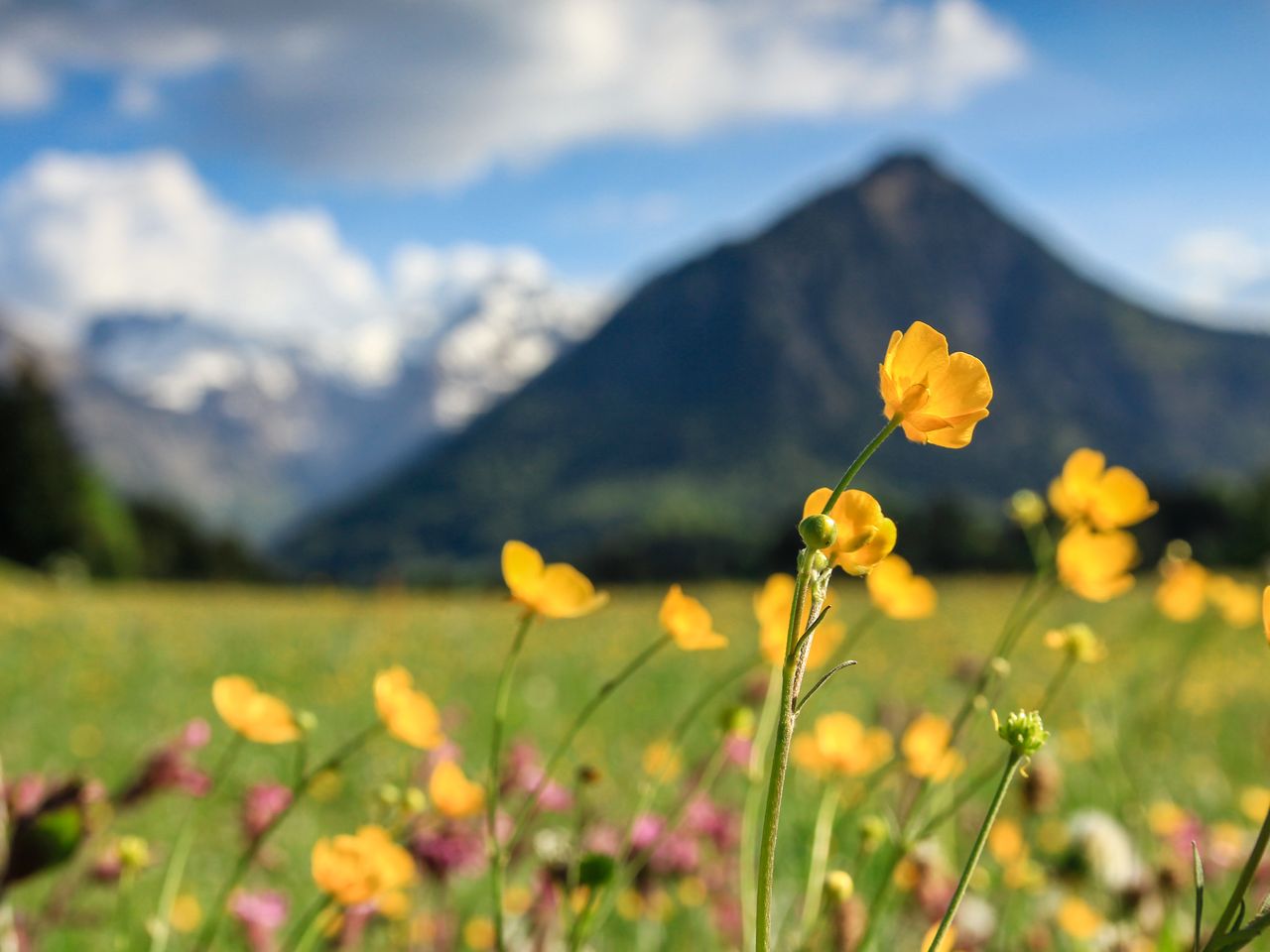 4 Tage umgeben von den Tiroler Alpen mit AI