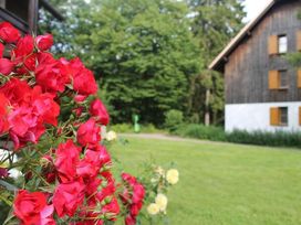 Ruhe im Harz - 3 Tage Erholung & Sport in Braunlage